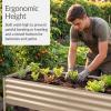 image:imageBest Choice Products 48x24x30in Galvanized Raised Garden Bed Metal Elevated Planter Box Vegetable Garden for Backyard Patio Balcony 100 Non Toxic Materials  Dark Brown Wood GrainBeige