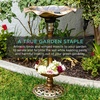 image:imageBest Choice Products Outdoor Solar Lighted Pedestal Bird Bath Fountain Decoration wPlanter Integrated Panel Scroll Accents for Lawn Garden  GreenBronze