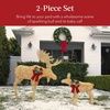 image:imageBest Choice Products 5ft 2Piece Moose Family Lighted Outdoor Christmas Yard Decoration LightUp Dcor Set w 370 LED Lights Zip Ties  GoldGold  Large