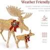 image:imageBest Choice Products 5ft 2Piece Moose Family Lighted Outdoor Christmas Yard Decoration LightUp Dcor Set w 370 LED Lights Zip Ties  GoldGold  Large