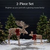image:imageBest Choice Products 5ft 2Piece Moose Family Lighted Outdoor Christmas Yard Decoration LightUp Dcor Set w 370 LED Lights Zip Ties  GoldRattan  Large