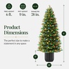 image:imageBest Choice Products 45ft Prelit Potted Pencil Christmas Tree w C7 LED Lights Realistic Nostalgic Artificial Lighted Retro Holiday Dcor 175 Twinkling LEDs for Home Porch6ft