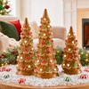 image:imageBest Choice Products Set of 3 Ceramic Christmas Trees PreLit HandPainted Tabletop Pinkmas Holiday Decoration wPink Bulbs LED Lights  PinkGingerbread W White  Green  Red Lights